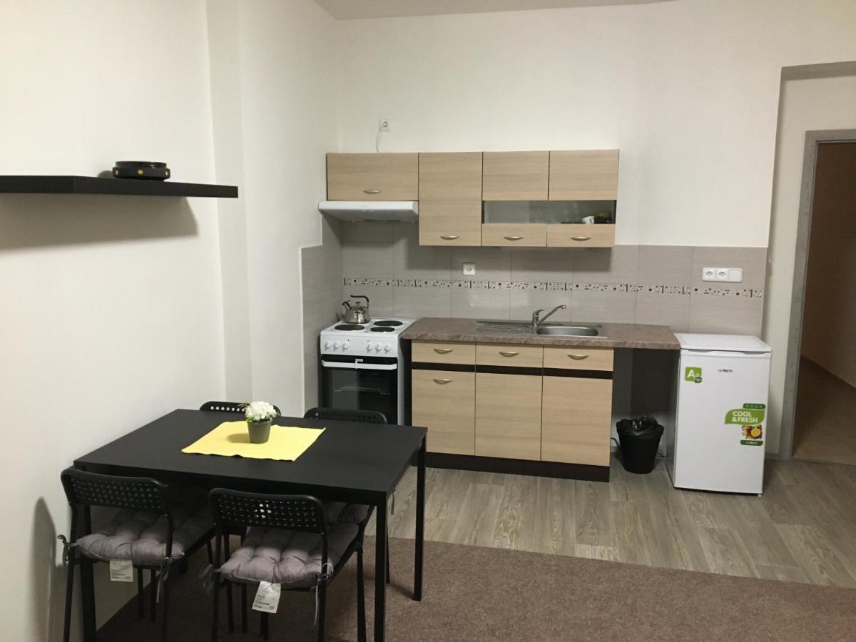 Apartmány U Muzea Decin Kültér fotó