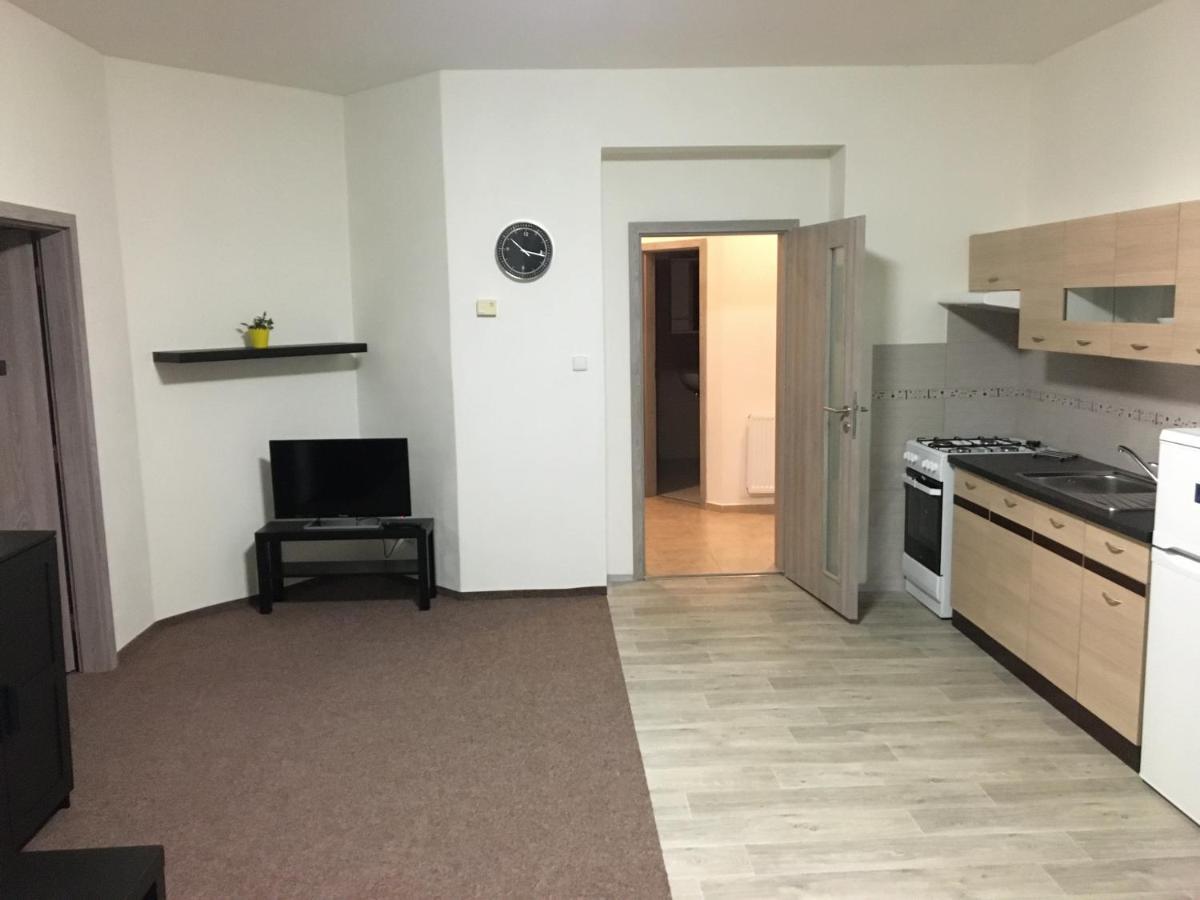 Apartmány U Muzea Decin Kültér fotó