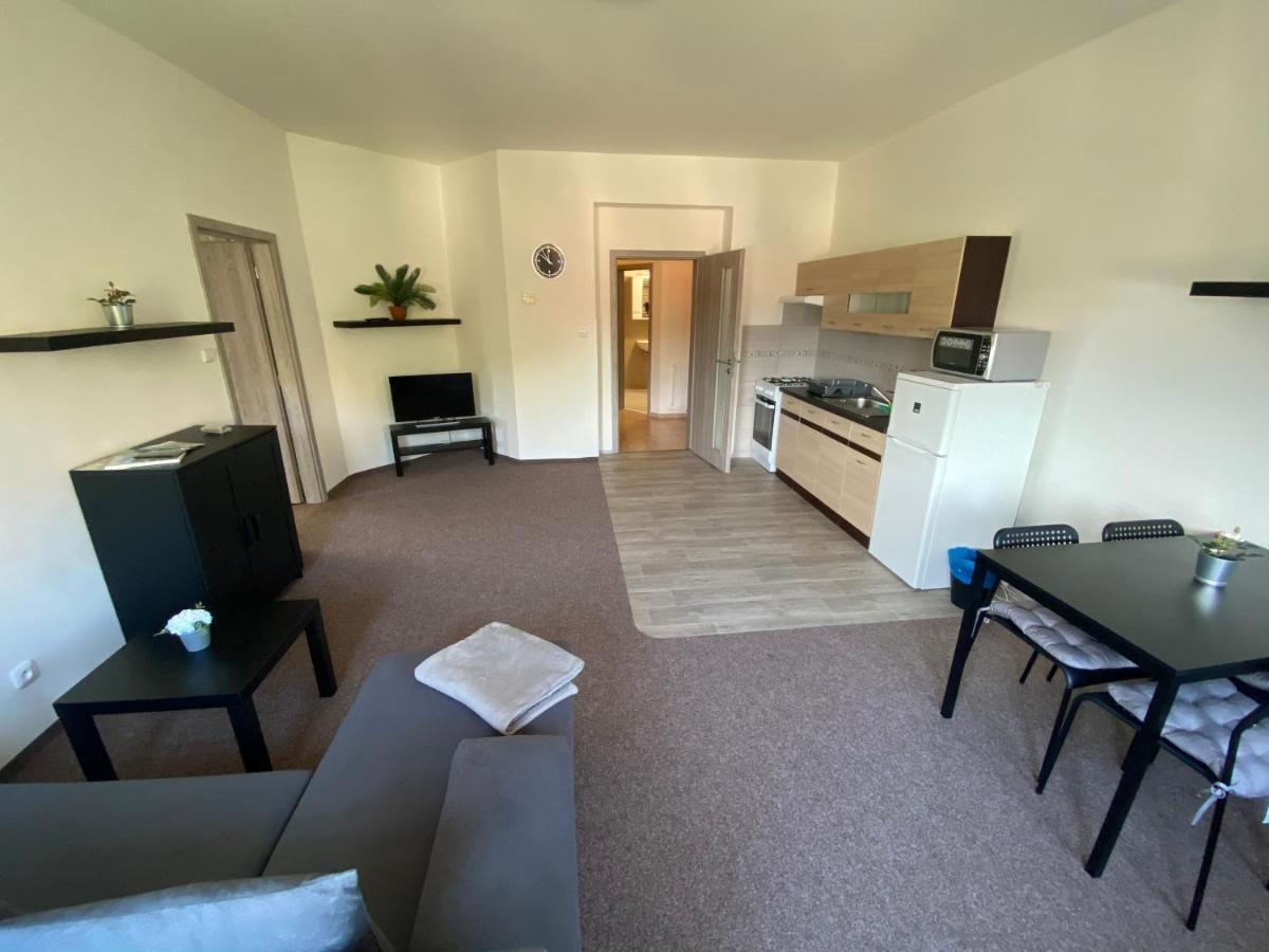 Apartmány U Muzea Decin Kültér fotó